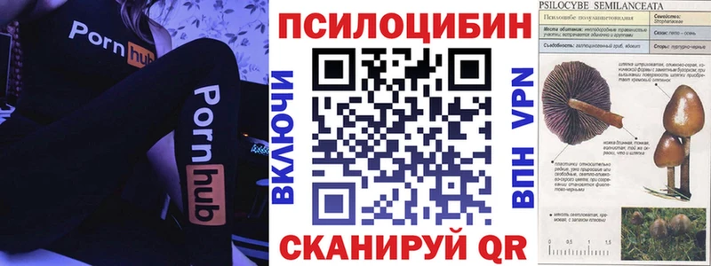 цена наркотик  Златоуст  Галлюциногенные грибы MAGIC MUSHROOMS 